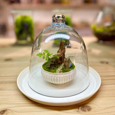 盆栽ワークショップ 松屋銀座