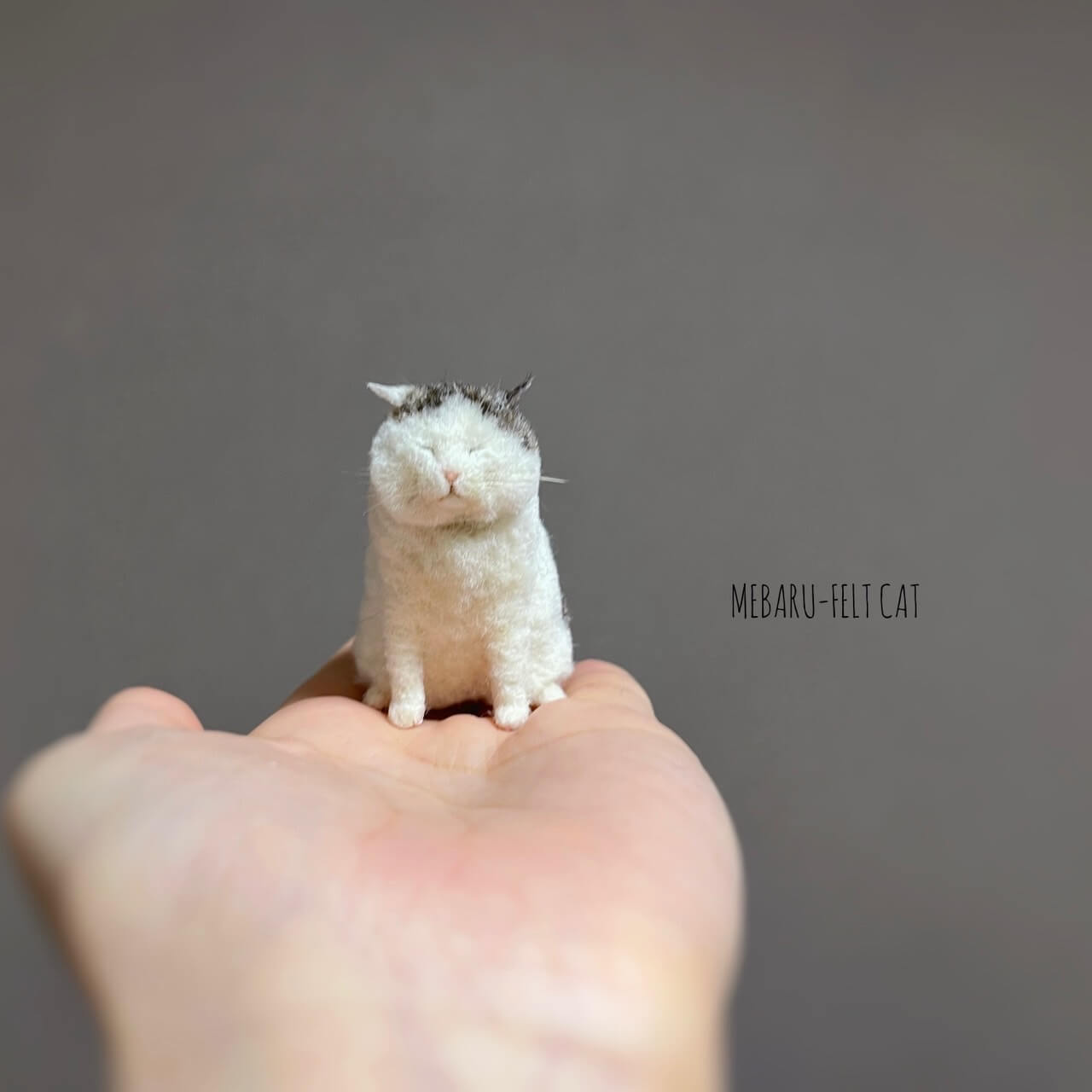 猫と森の動物たち作家展 | 松屋銀座