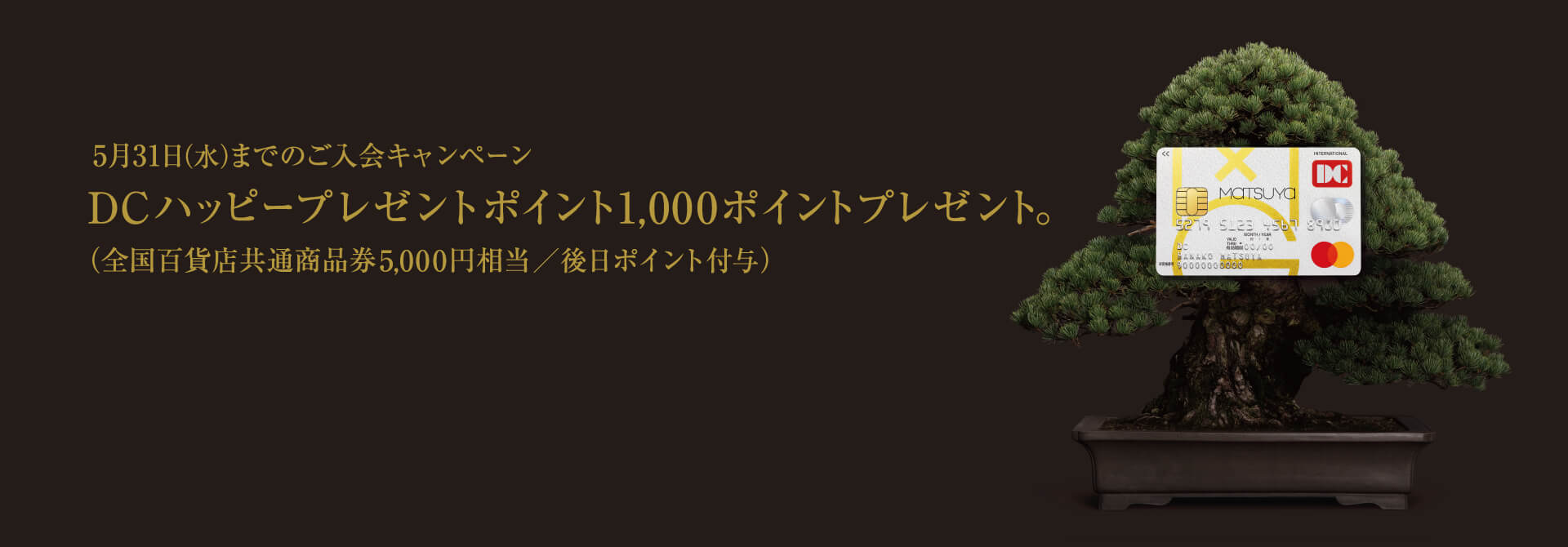 松屋カードご入会キャンペーン